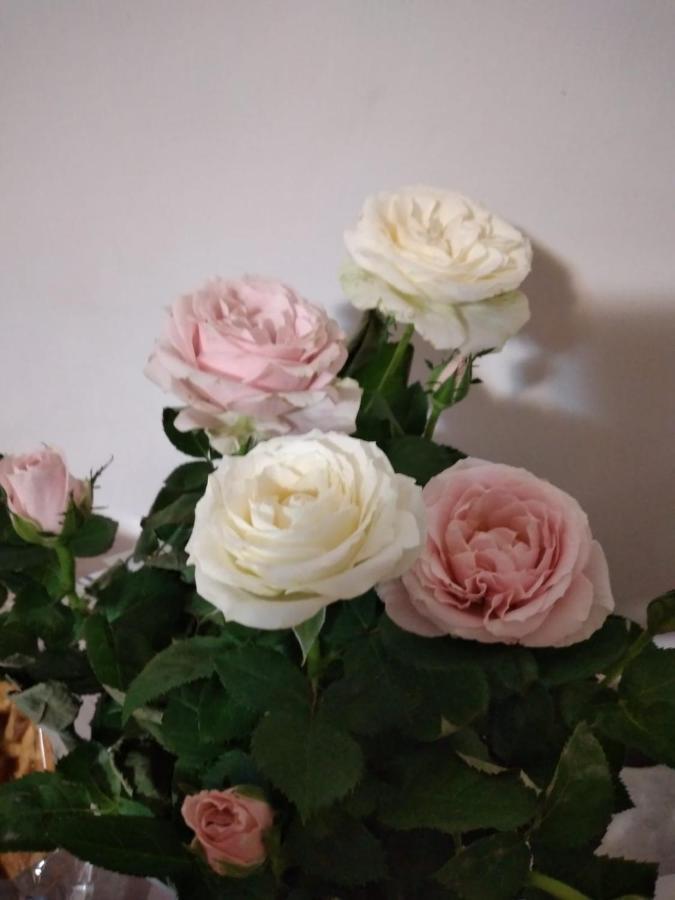 Casa Anto' Apartman Nápoly Kültér fotó